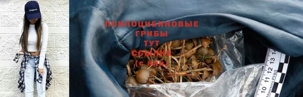 соль курить ск Алексеевка