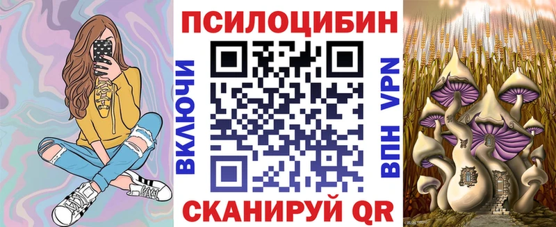 Галлюциногенные грибы Cubensis  где можно купить   Нея 